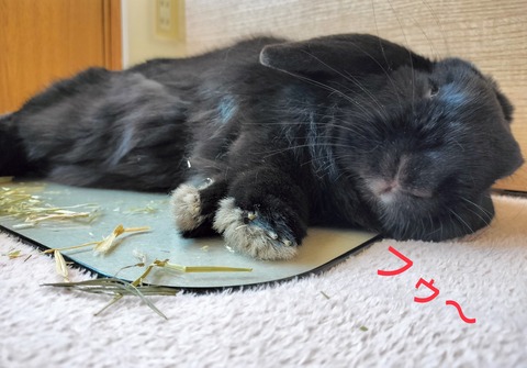 A319FC92-6032-486B-AF7E-B322FF153CF8