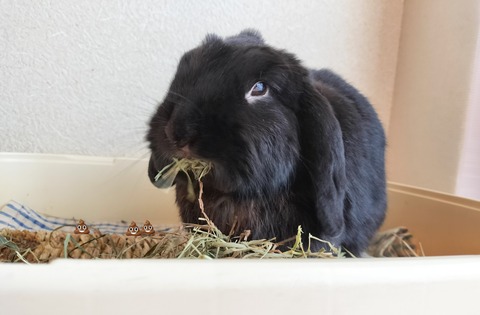 A9562BCB-4CCC-4BE6-9918-C4818620A974