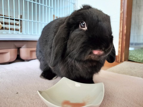 4703B173-E2EB-47C4-B7E1-2F0E133AEFC3