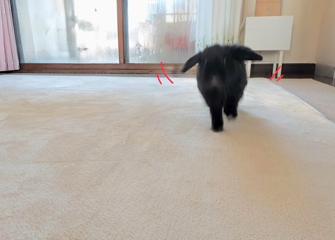 5D250019-1B49-4A0B-B13C-7FC78B9DFE72