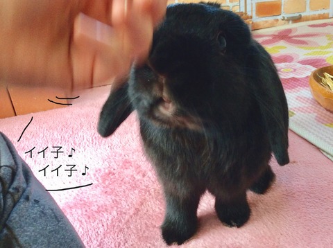 1E8D78F6-F855-4236-9043-FC242BFC3540