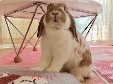 D57783CB-4D9F-448A-BFC3-B0B4B644AB66