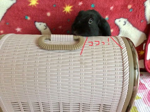 9B95D6ED-900B-4369-9A6F-85F548384C53