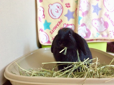 FE8CE1CE-238B-47EA-8268-2F0564E58496