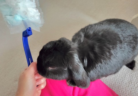 42A2908B-8558-4773-8ADA-0ECC337BF9EF