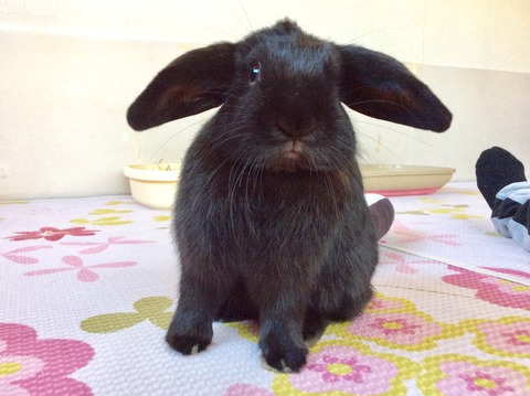 E7CAE055-900A-48E8-8A0E-CCEB0CE71EFA