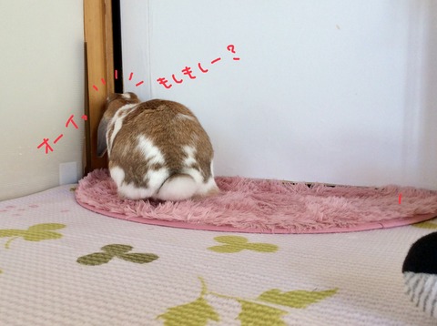 1F7ACC25-8188-42B1-A902-91A0C1FD945E