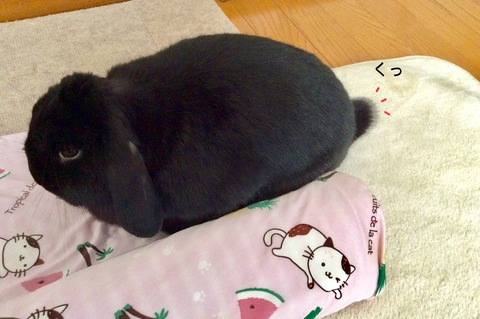 2DEBCA4F-5BB9-4EC4-9BE7-6F8D3DEDB564