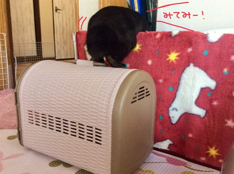 7B9A315F-EF23-4C04-AADA-B74D95B8F19D