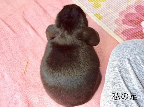 AA7BA7DC-052B-4302-B82B-E98CF6767EA1