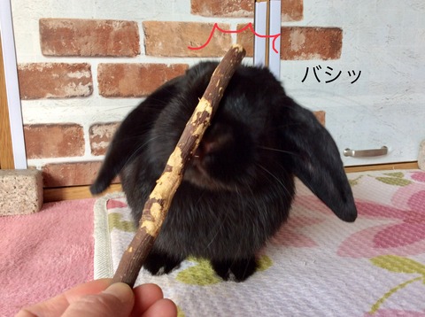 027D1D2B-6403-443A-B0BE-FB9A113975FB