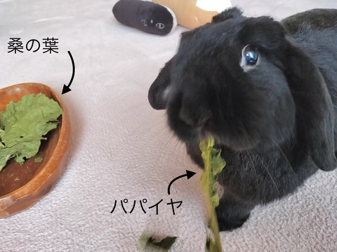 A0823246-297C-4E87-BCC4-DC15223DADC0