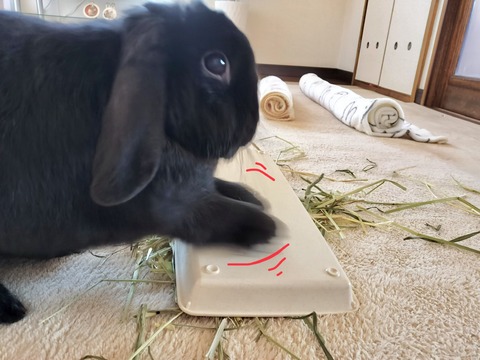 622C0515-0D3A-422B-A430-5B6EA39A01F5