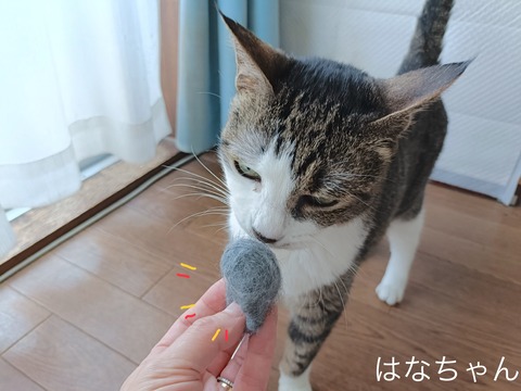 19649C50-E0BF-4FAE-B4D2-AC0E6113E37A