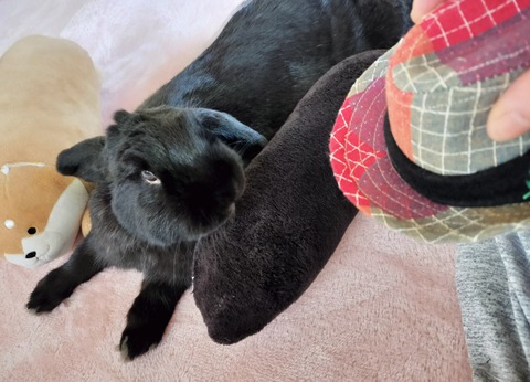 03721EF6-06FE-4FF2-B40F-8A2291471336