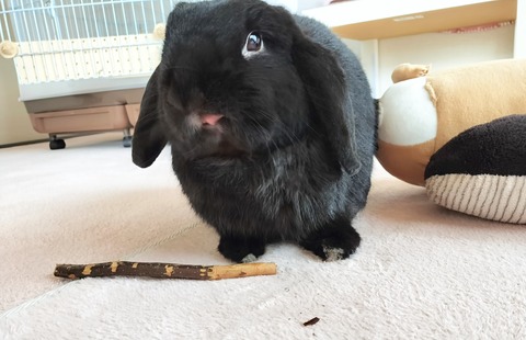 230F72DD-F35B-4071-9B34-38E0BD2D5BF7