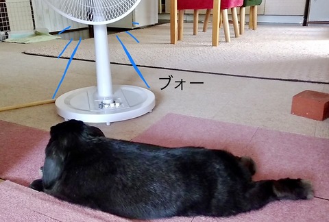 C241A082-AB0B-4398-BD0D-36E047B6683A