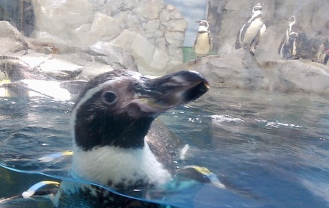 197B2BED-BF56-4681-87A4-91E34C2C78C1