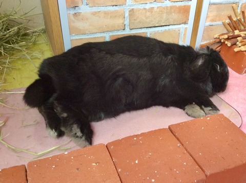 619B6B87-B85A-4ACD-A323-E7BDB980A135