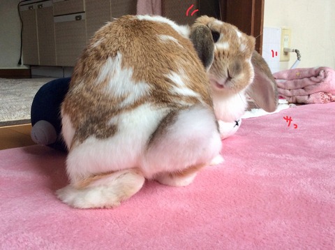 A7E02CED-EB73-40AA-ACEC-C39152377406