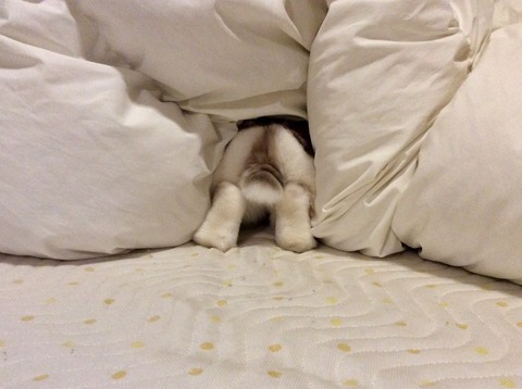 A4C6BEB0-A990-411C-BD1E-83A5B3512843