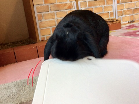 79626B17-73FE-4362-AE8F-40A6E54020CF