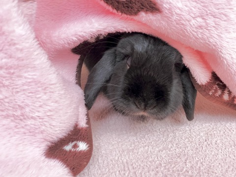 0BC5361F-AD53-48AB-84C9-2480BA231862