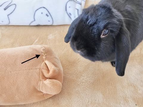 2F05D64E-0FE0-4316-9898-D366A8432CC2