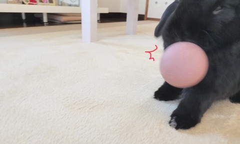 FB5B0122-E814-4157-8B33-D4D2E4A97B40