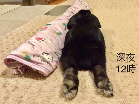 CAEB40FB-6AA5-4133-9F30-EE8F0266AE11