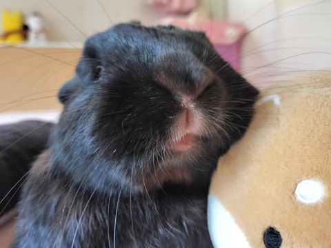 4E9CF45A-6DB5-4538-A545-7294D65A77CC