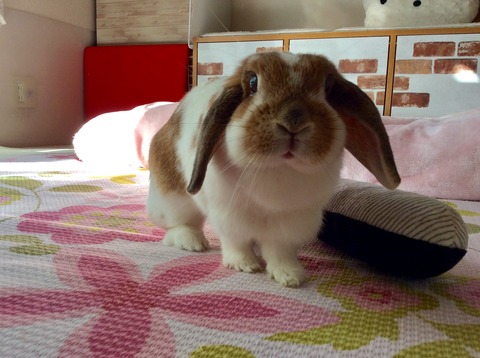 DD8A1A49-ECB4-4AAE-8078-822CA3389E3D