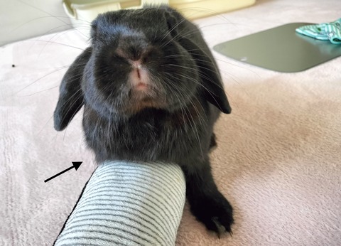 D71AE38F-480B-4EA4-A080-403800A00D56