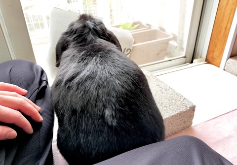 3C640B8E-7CE3-4034-9821-290E8988DE29