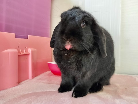 20CFFAC7-C3B6-491A-8CB9-2B7F4E1049E8