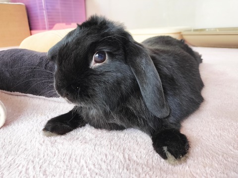 4536F3BD-3ABA-4F5B-AD9D-A5A5999E7B7D