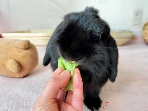 F471B8C7-64C1-4B65-8A6F-8E33DF15D188