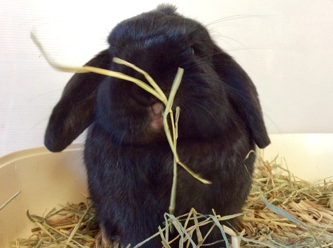 1DAC5A1D-B148-4000-8A83-13FBF8EA4DB2