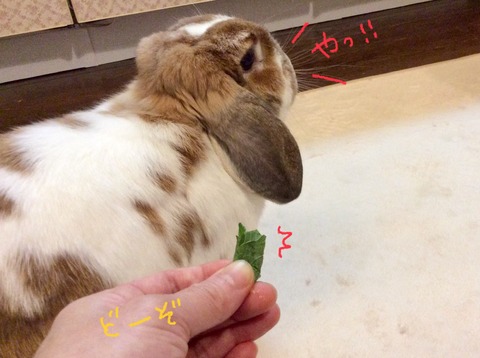 AA88DFF1-C4DF-4214-A581-E59B16E543D3