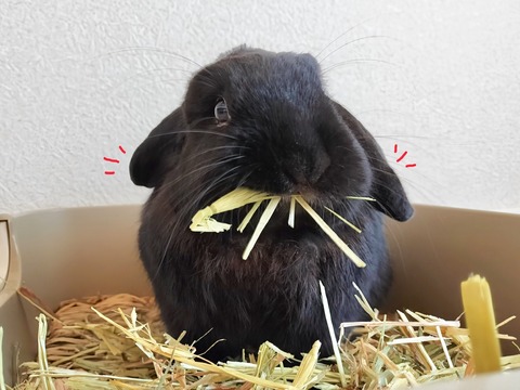 8E4B6485-512C-4F88-B30C-4DAD9F83EE96