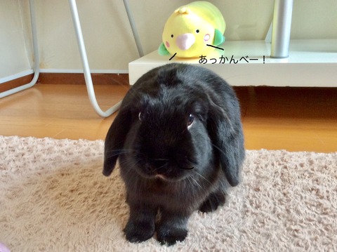 582DCD9C-C497-45B2-BFB4-0FEFE02EB541