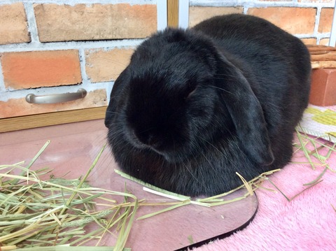 02B05323-CF0A-4F64-A2C2-F3B36BA08F68