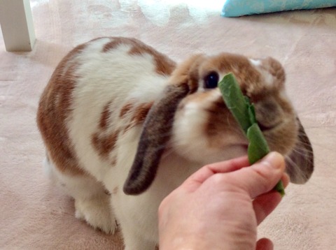 DFF8490C-F4C5-4DE5-8677-E71A17877F5C