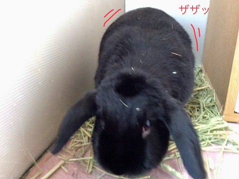 F09BBF0E-AB90-4BD9-9359-0D6846AD28FB