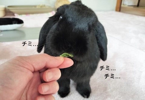 B210CE49-CBDC-4B33-A418-1C1361B7492B