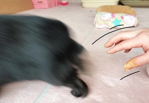 65C34717-0E67-4746-8EE1-F12601F1B676