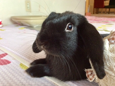 5C24E41C-0445-476D-8F7D-75B0FF8A19D4