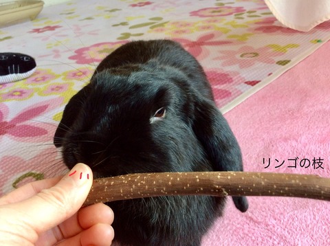 D2FAF1C0-A62C-4904-92A0-8D74ECF00442