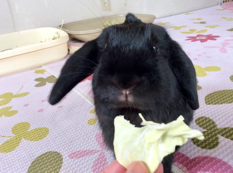 5CA924B3-94AE-4E33-A7BC-0A0F1D1FA48B