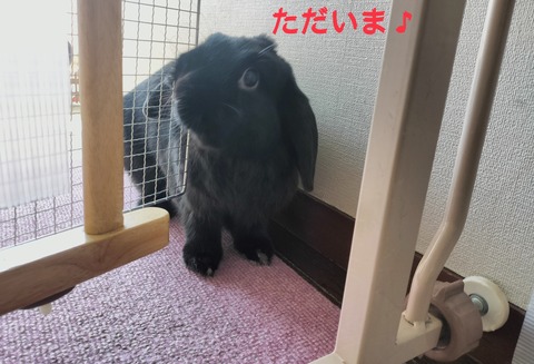 F6EC3625-A1CD-42F6-90A5-101D00CF475C